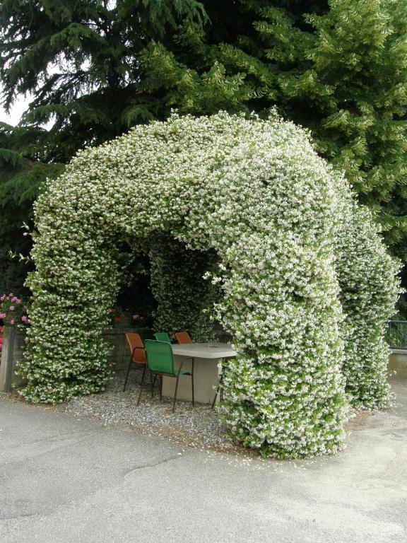 Albergo Ristorante La Scaiola Nuvolera Dış mekan fotoğraf